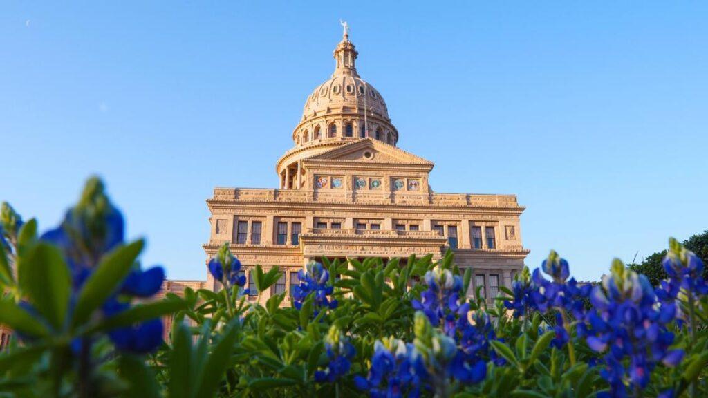 Bluebonnets and the Texas Legislature